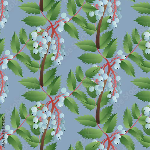 Mahonia aquifolium or Oregon grape bush branch seamless pattern with leaves and berries in blue color. Hand drawn botanical vector illustration.