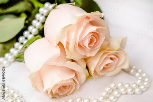 The branch of pink rose on white fabric background 