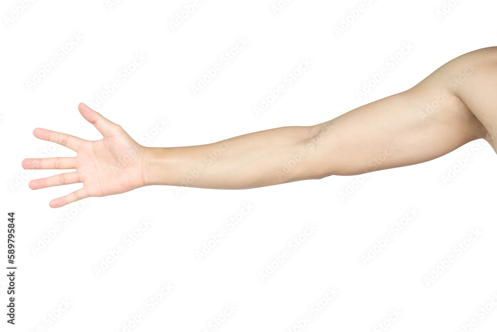 Man arm with blood veins on white background, health care and medical concept Man arm with blood veins on white background, health care and medical concept