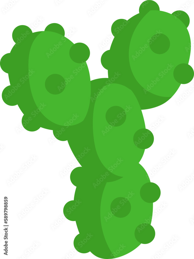 Cute Cactus Cute Cactus
