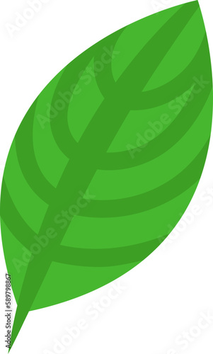 Cute Simple Leaf