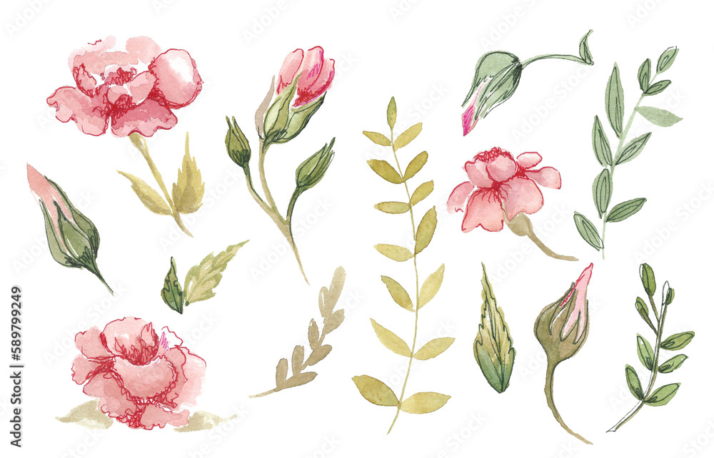 Set of decorative rose elements. Watercolor leaves, buds and flowers on a white background. Freehand illustration