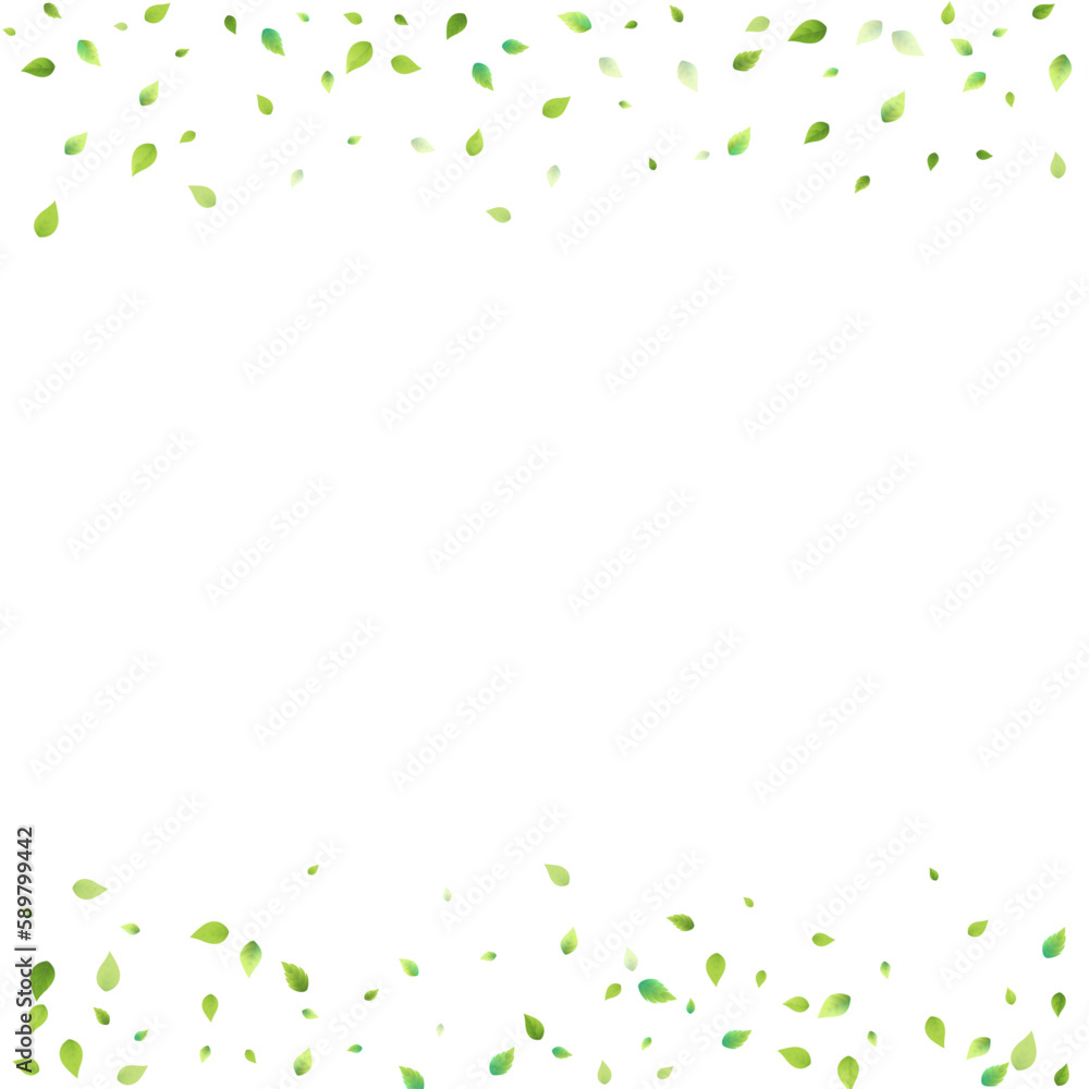 Leaves Green Falling Flying Foliage Leaf Tea Mint Leaves Green Falling Flying Foliage Leaf Tea Mint