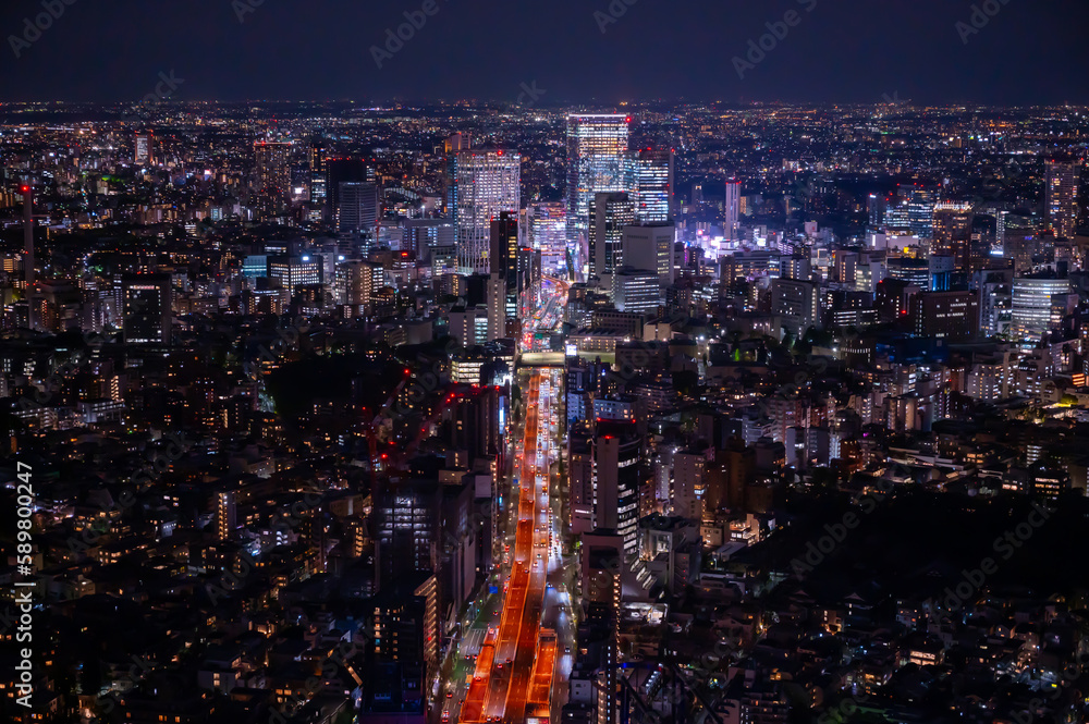 Obraz premium 夜の首都高速道路