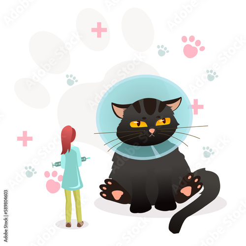 Cartoon character of young female veterinarian examining cat in recovery collar. Doctor taking care of kitty in veterinary clinic. Healthcare services for domestic animals after rehabilitation. Vector
