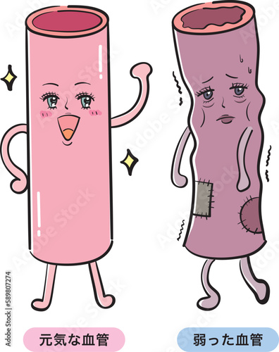 健康な血管と弱った血管
