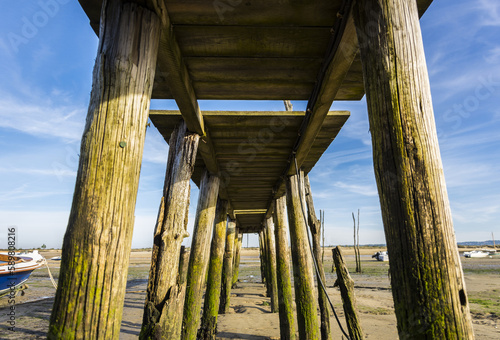 Piles corridor under a dock at low tide during a sunny day along the Atlantic ocean's coastline at the Cap Ferret photo