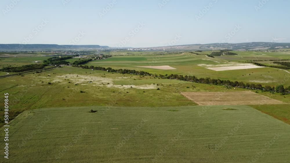 Aerial view on green wheat field in countryside. Field of wheat blowing in the wind like green sea. Young and green Spikelets. Ears of barley crop in nature. Agronomy, industry and food production. Aerial view on green wheat field in countryside. Field of wheat blowing in the wind like green sea. Young and green Spikelets. Ears of barley crop in nature. Agronomy, industry and food production.