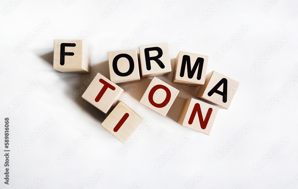 Obraz premium FORMATION word made from wooden blocks on a white background.