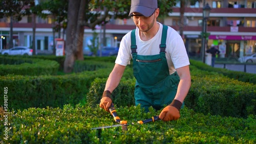 portrait male urban city gardene service worker in uniform trimming bushes cityscape sunny slow mo