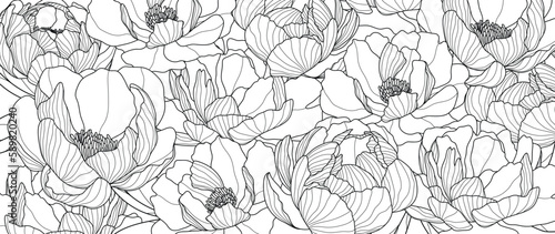 Abstract peony flower line art background vector. Natural botanical elegant flower with line art. Design illustration for decoration, wall decor, wallpaper, cover, banner, poster, card.