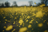 Wildflower field of yellow flowers generative AI