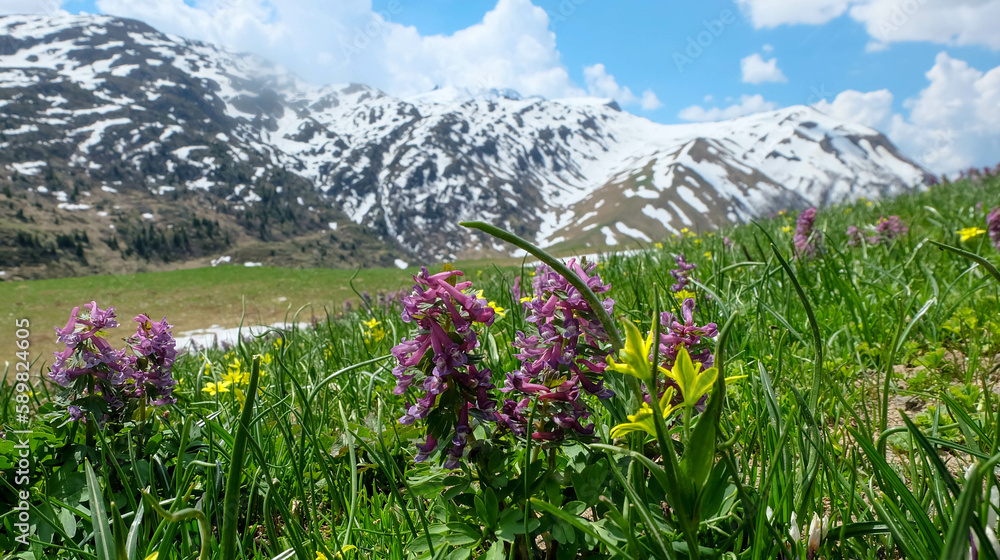 Alpen in Frankreich Route des Grandes Alpes Stock Photo Adobe Stock