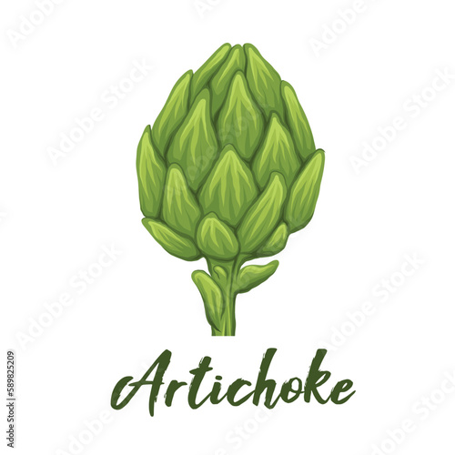 Vector cartoon clipart of hand drawn artichokes with ink splashes. Sketch illustration of cabbage healthy vegetables with hatching and lettering.