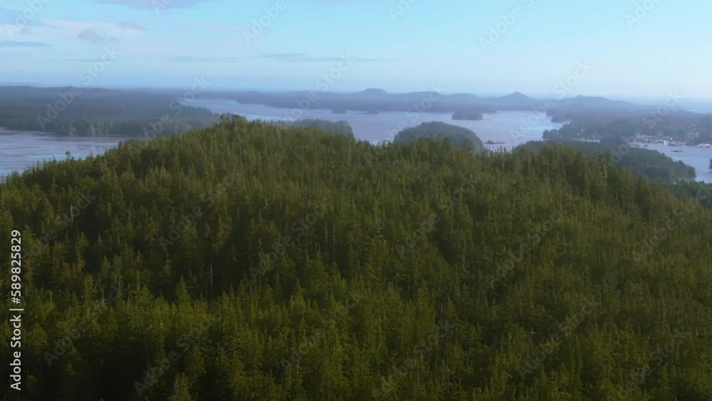Bird's eye view of green forests on Vancouver Island in British Columbia, Canada