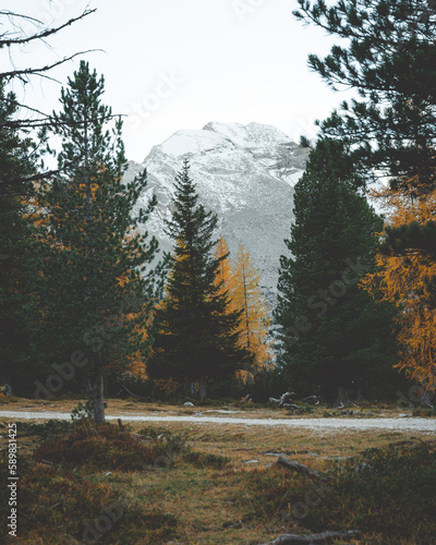 Autumn in the Dolomites Italy 