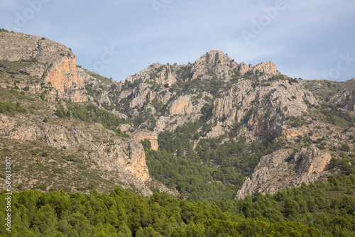 Peaks and Pine Tree and Dam in Aixorta Mountain Range; Guadalest; Alicante; Spain