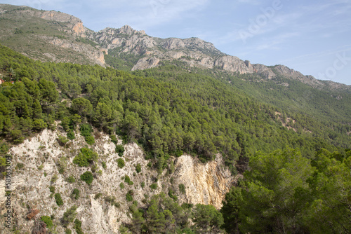 Obraz na płótnie Pine Tree and Peaks in Aixorta Mountain Range; Guadalest; Alicante; Spain w salonie