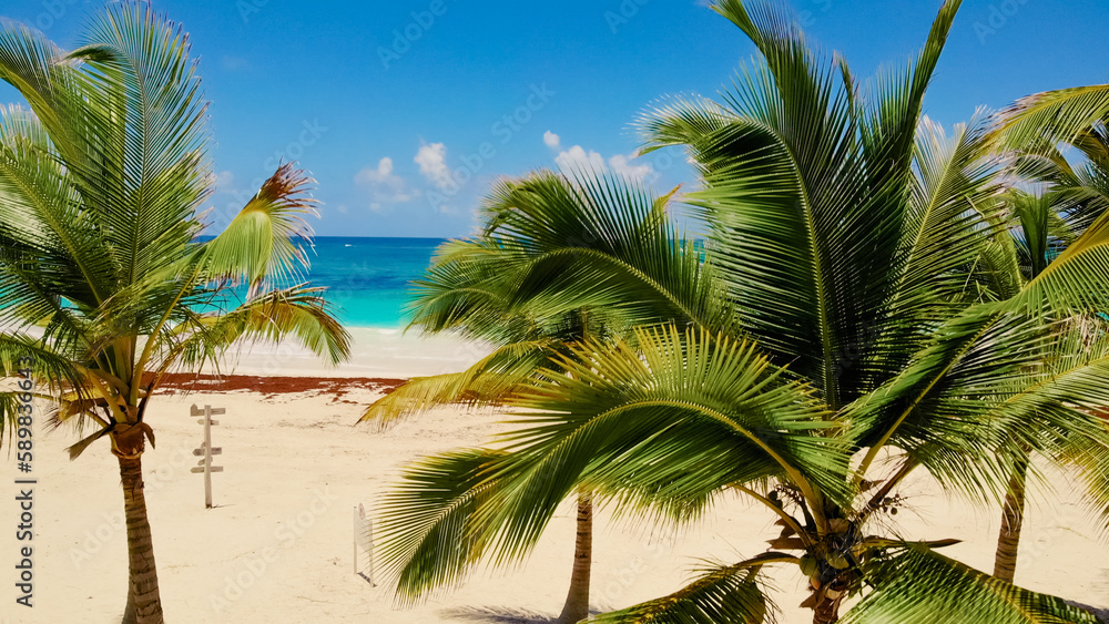 Fototapeta premium Tropical sand beach with palm trees at sunny day