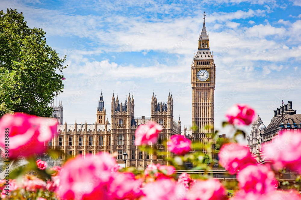 Big Ben, the Palace of Westminster in London, UK seen from public garden with flowers - obrazy, fototapety, plakaty 