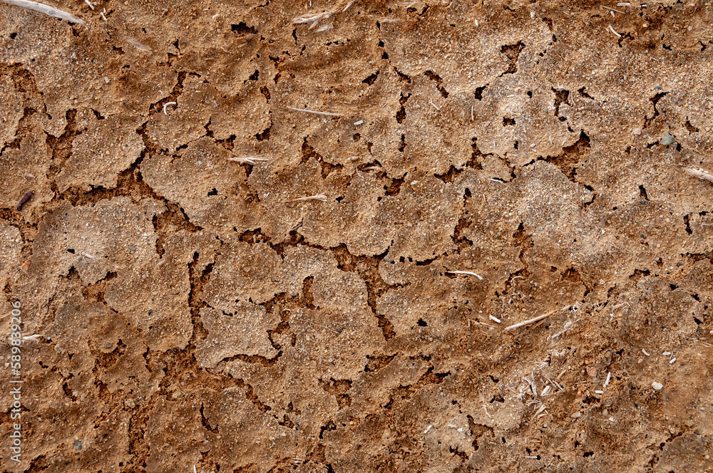 Dry cracked red clay with salt crystals in the desert in the bed of a dried up stream Dry cracked red clay with salt crystals in the desert in the bed of a dried up stream