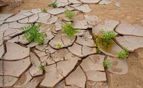 Dry cracked red clay in the desert in the bed of a dried up water stream, Egypt photo