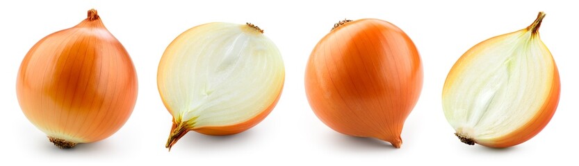 Onion bulbs isolated. Whole golden onion bulb and a half on white background. Onion set. Full depth of field. With clipping path.