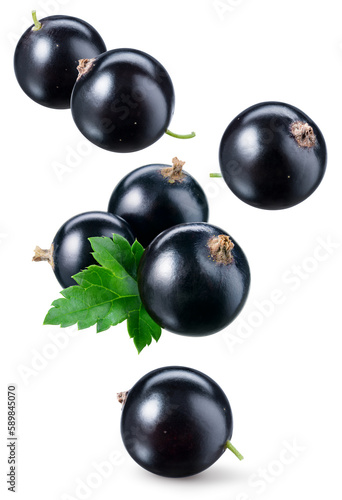 Black currant isolated. Currant black flying on white background. Perfect retouched currant berry with leaf falling on white. Full depth of field.