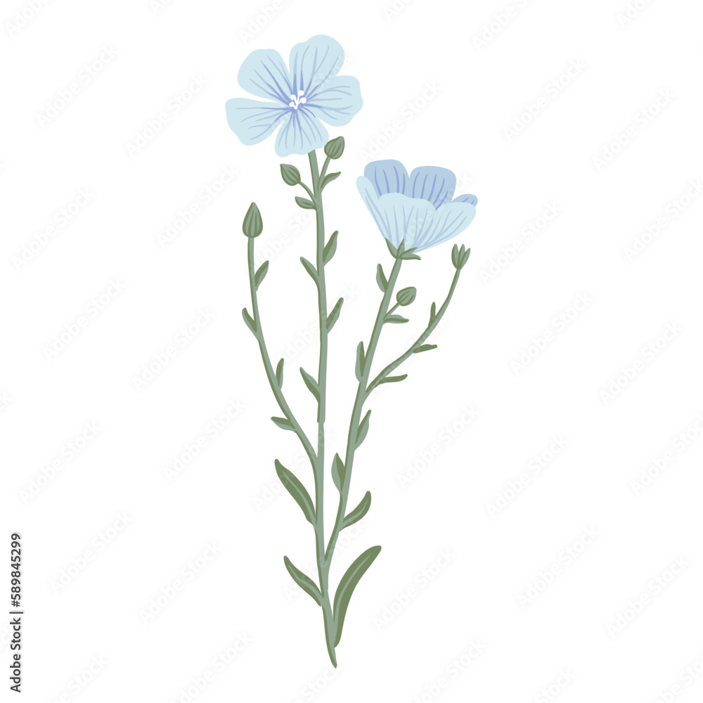blue linum,flax, field flowers, vector drawing wild plants at white background, floral elements, hand drawn botanical illustration blue linum,flax, field flowers, vector drawing wild plants at white background, floral elements, hand drawn botanical illustration