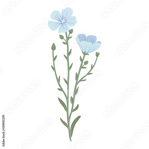 blue linum,flax, field flowers, vector drawing wild plants at white background, floral elements, hand drawn botanical illustration