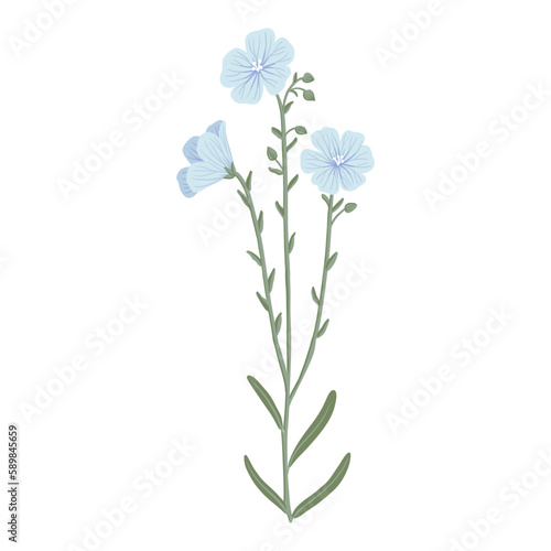 blue linum,flax, field flowers, vector drawing wild plants at white background, floral elements, hand drawn botanical illustration