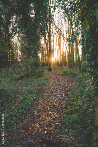 Norwich winter countryside 