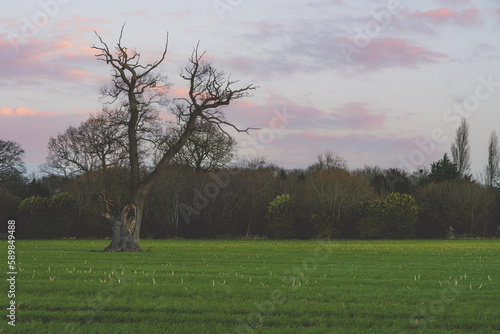 Norwich winter countryside 