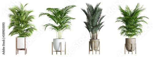 Plants in 3d rendering. Beautiful plant in 3d rendering isolated. 
