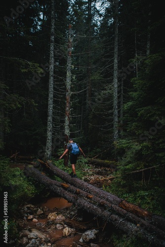 Vertical shot of a man walking over a fallen tree in the forest in Durmitor Montenegro