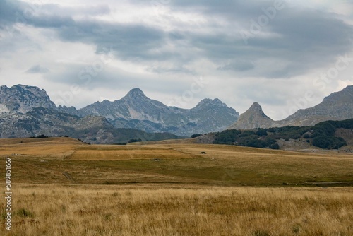Beautiful landscape scene of the yellow field and the Durmitor mountains in Montenegro
