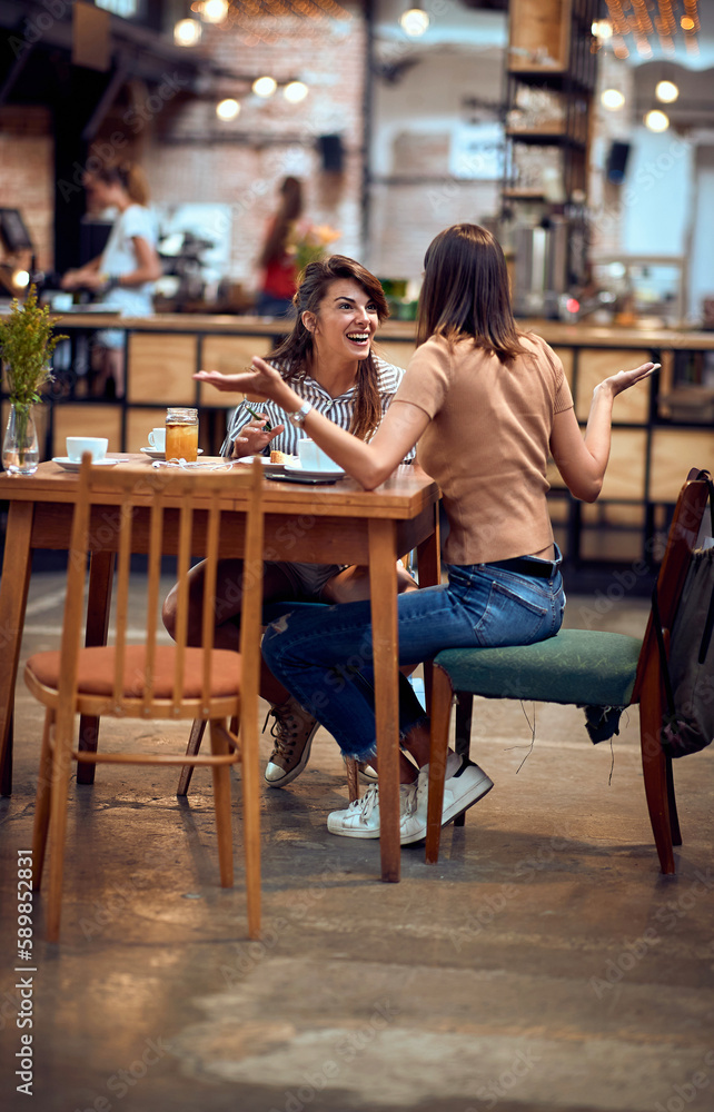 Two young girlfriends talking on a coffee break. Friends meeting.