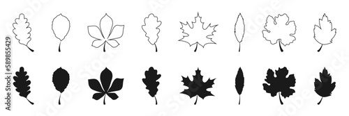 Leaf vector icon. Leaves icons in different style. Leaf. Vector illustration