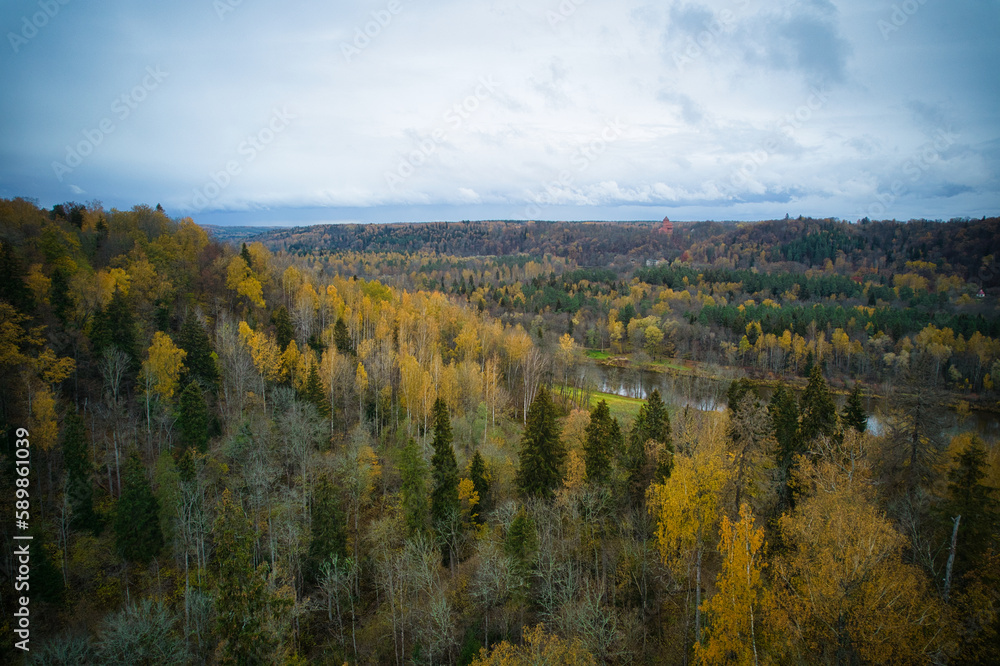 Above aerial shot of green pine forests and yellow foliage groves with beautiful texture of golden treetops. Beautiful fall season scenery in evening. Mountains in autumn in golden time