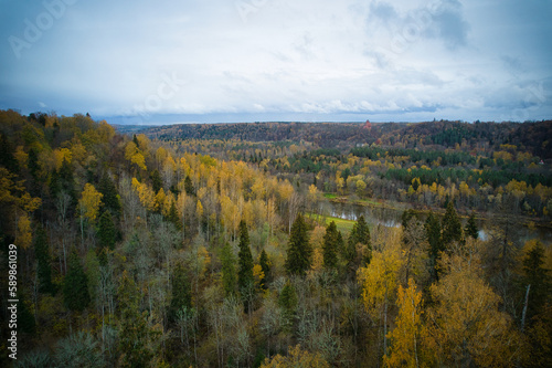 Above aerial shot of green pine forests and yellow foliage groves with beautiful texture of golden treetops. Beautiful fall season scenery in evening. Mountains in autumn in golden time © Defree