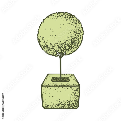 Sketch of topiary coniferous trees. Sheared thuja on a stem. Geometric trees for advertising and landscape design. Isolated on white background. Vector