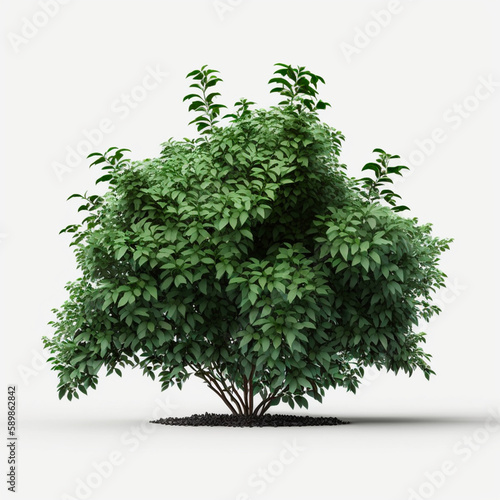 buisson, arbuste, sans arrière plan, généré par IA photo