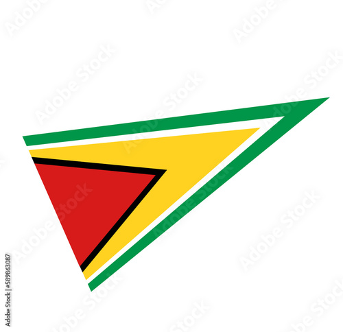 Guyana flag icon, illustration of national flag design with elegance concept, perfect for independence design