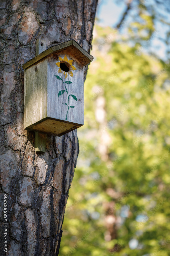 Wooden bird house (starling house) on tree trunk Wooden bird house (starling house) on tree trunk