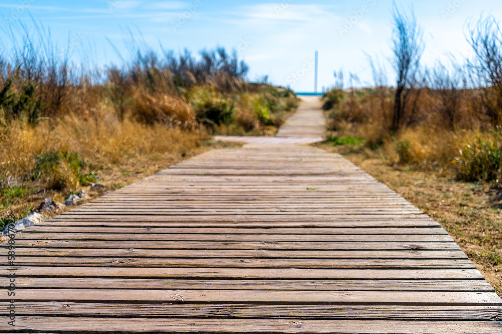 Obraz premium WOOD PLANKS TO THE BEACH 