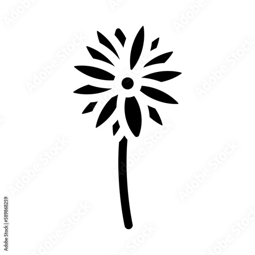 black eyed susan flower spring glyph icon vector illustration photo