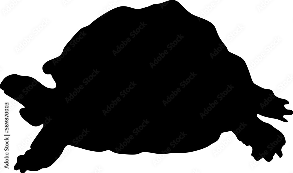 turtle silhouette vector file.background, illustration turtle silhouette vector file.background, illustration