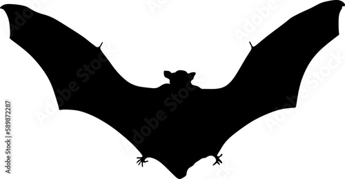 bat silhouette, vector, illustration