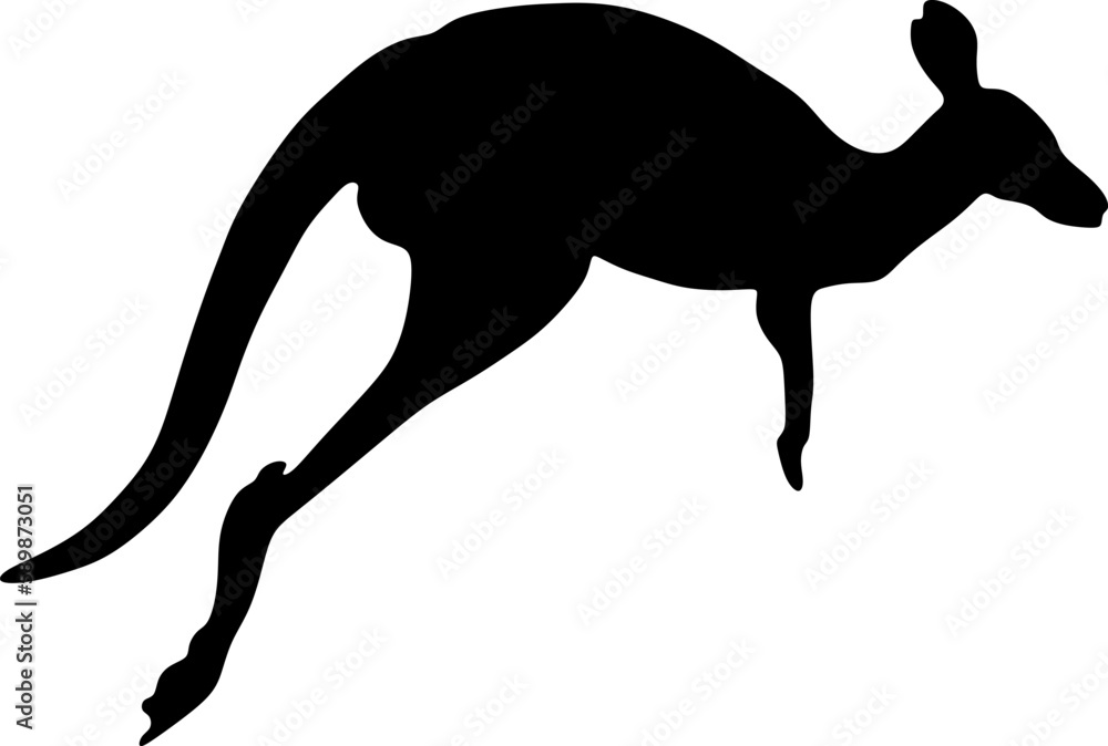 kangaroo silhouette,vector,illustration file kangaroo silhouette,vector,illustration file