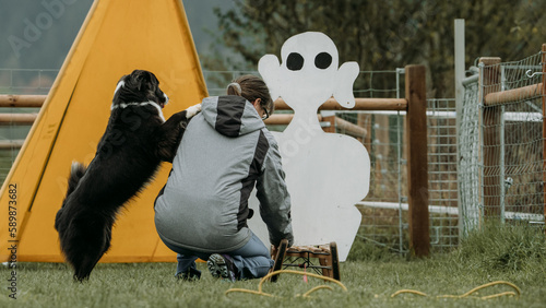 Australian shepherd dog during a survey photo